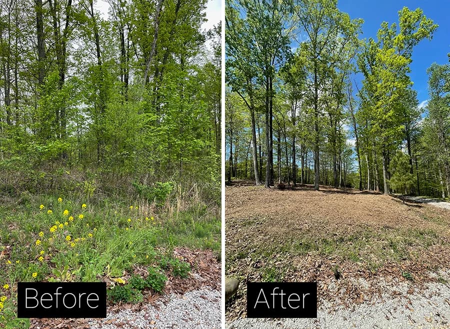 Before-and-after of a wooded residential lot cleared by single-pass forestry mulching