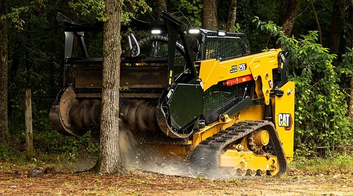 Cat compact track loader mulching standing saplings between mature trees