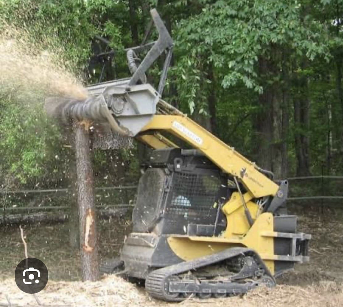 Compact track skid steer with forestry mulcher head shredding a standing tree on a Western Loudoun property
